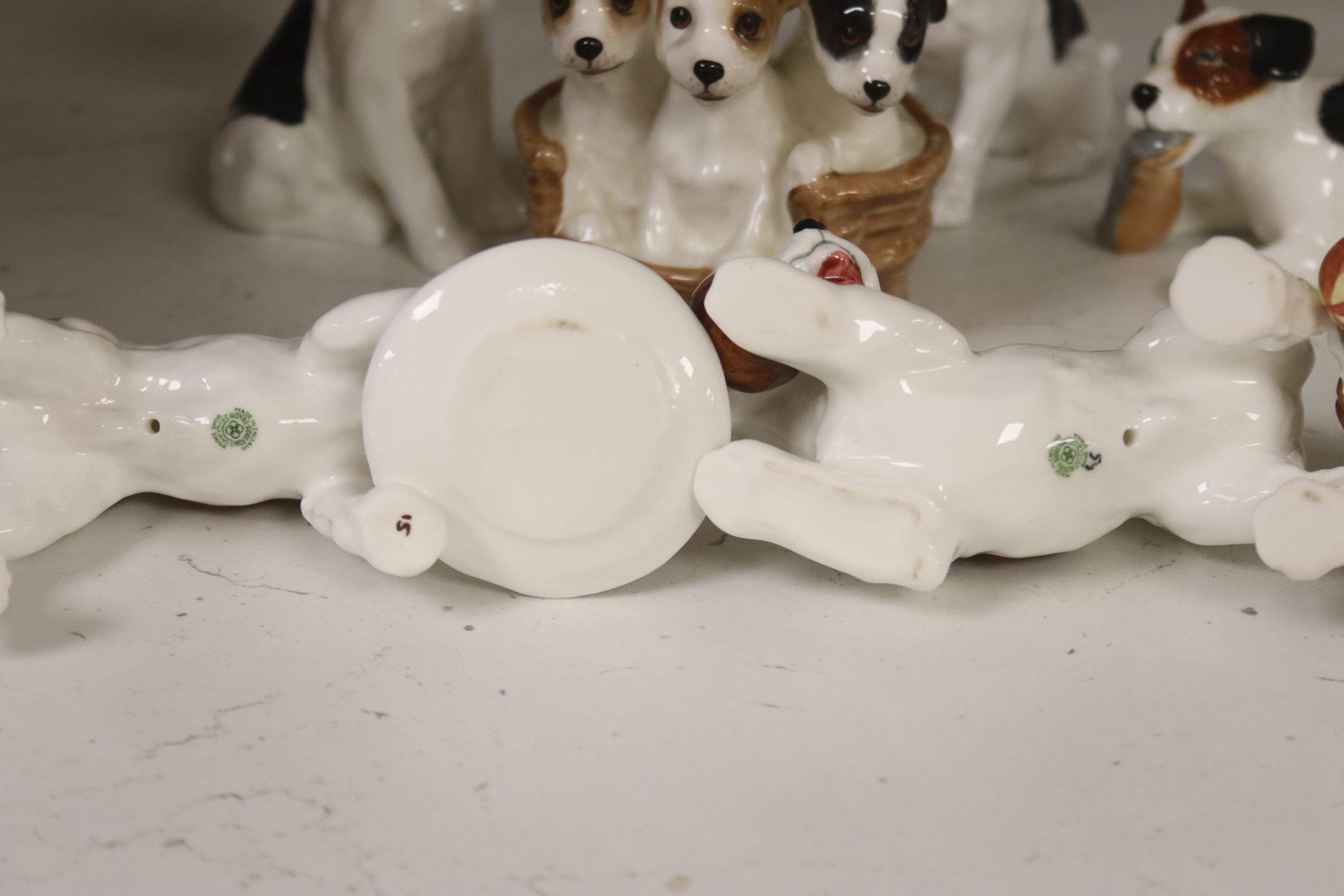 Seven Royal Doulton models of terrier puppies